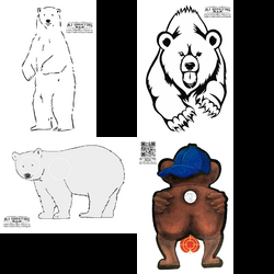 Bears