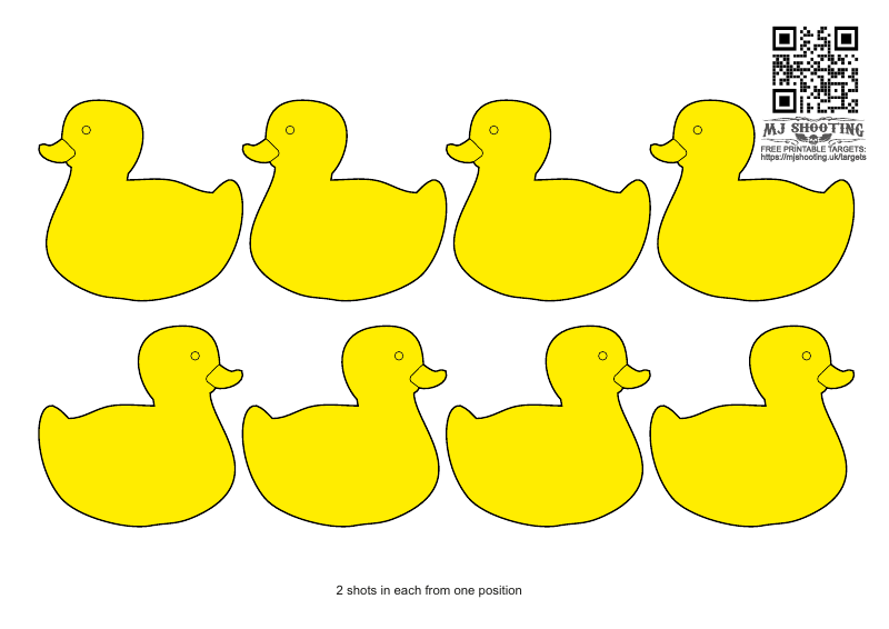 Ducks x 8